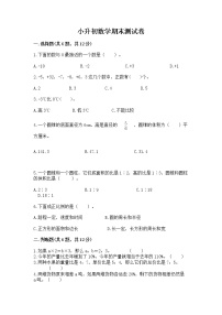 小升初数学期末测试卷（培优a卷）