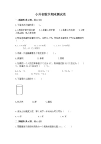 小升初数学期末测试卷带答案（模拟题）