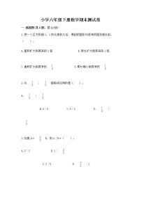 小学六年级下册数学期末测试卷附答案（夺分金卷）