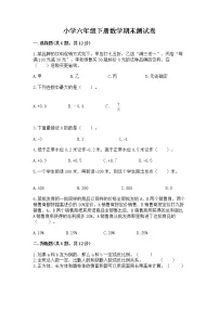 小学六年级下册数学期末测试卷含答案【巩固】