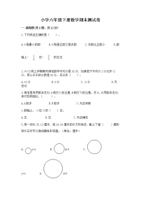 小学六年级下册数学期末测试卷含完整答案（精品）