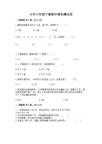 小学六年级下册数学期末测试卷精品（满分必刷）