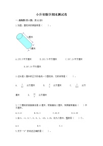 小升初数学期末测试卷含完整答案（历年真题）