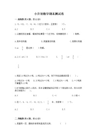 小升初数学期末测试卷及参考答案（预热题）