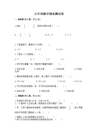 小升初数学期末测试卷含完整答案【典优】