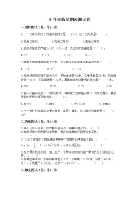 小升初数学期末测试卷含答案【精练】