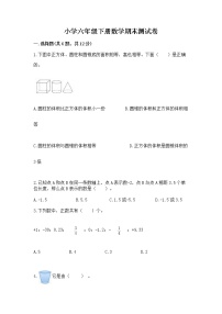 小学六年级下册数学期末测试卷精品（综合题）