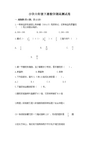 小学六年级下册数学期末测试卷及完整答案（易错题）