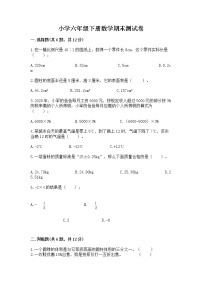 小学六年级下册数学期末测试卷精编