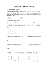 小学六年级下册数学期末测试卷含完整答案【夺冠系列】