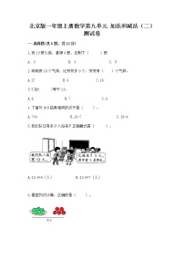 数学北京版九 加法和减法（二）精品练习题