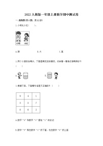 2022人教版一年级上册数学期中测试卷精品【网校专用】