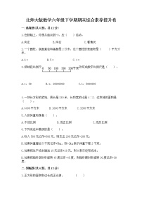 北师大版数学六年级下学期期末综合素养提升卷（精练）