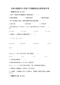 北师大版数学六年级下学期期末综合素养提升卷（考点梳理）