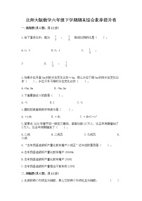 北师大版数学六年级下学期期末综合素养提升卷答案免费下载