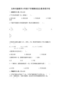 北师大版数学六年级下学期期末综合素养提升卷（考点提分）