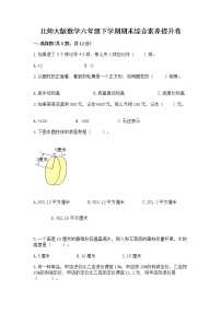 北师大版数学六年级下学期期末综合素养提升卷精品（能力提升）