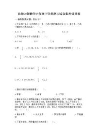 北师大版数学六年级下学期期末综合素养提升卷一套