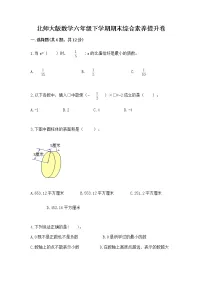 北师大版数学六年级下学期期末综合素养提升卷通用