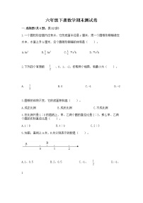 六年级下册数学期末测试卷附答案（培优a卷）