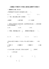 人教版小学数学六年级上册重点题型专项练习word版