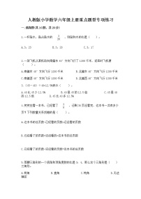 人教版小学数学六年级上册重点题型专项练习word版