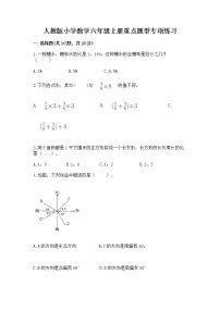 人教版小学数学六年级上册重点题型专项练习