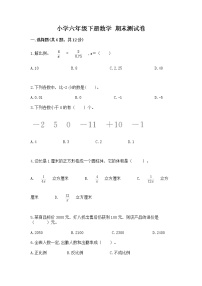 小学六年级下册数学 期末测试卷（全优）