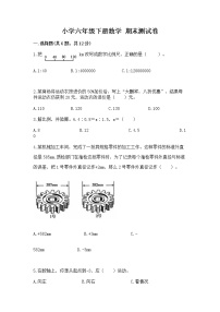 小学六年级下册数学 期末测试卷（能力提升）word版