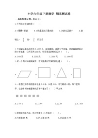 小学六年级下册数学 期末测试卷（全优）word版