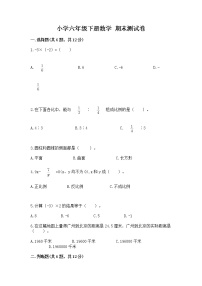 小学六年级下册数学 期末测试卷（考点梳理）