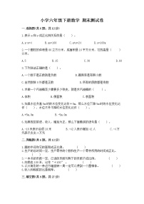 小学六年级下册数学 期末测试卷（名师系列）