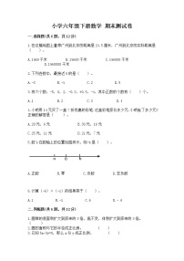 小学六年级下册数学 期末测试卷（能力提升）