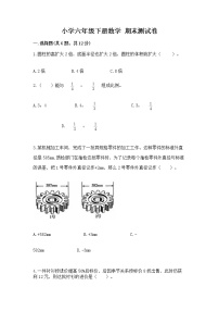 小学六年级下册数学 期末测试卷（实用）