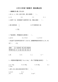 小学六年级下册数学 期末测试卷（真题汇编）