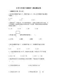 小学六年级下册数学 期末测试卷【考点精练】