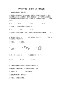 小学六年级下册数学 期末测试卷【轻巧夺冠】