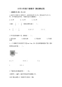 小学六年级下册数学 期末测试卷（综合卷）