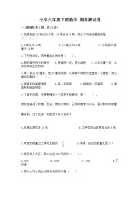 小学六年级下册数学 期末测试卷附参考答案（达标题）