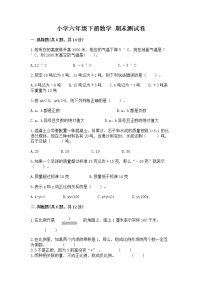 小学六年级下册数学 期末测试卷附完整答案（全国通用）