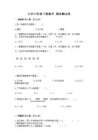 小学六年级下册数学 期末测试卷附完整答案（名校卷）