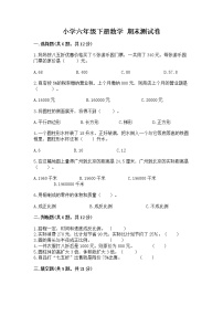 小学六年级下册数学 期末测试卷附完整答案（网校专用）