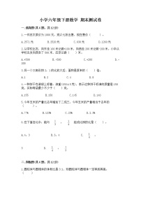 小学六年级下册数学 期末测试卷附答案（典型题）