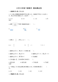 小学六年级下册数学 期末测试卷附答案【考试直接用】