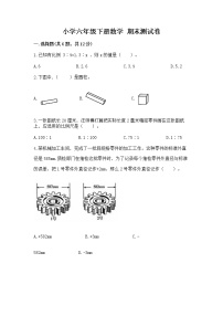 小学六年级下册数学 期末测试卷附答案【能力提升】