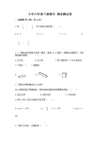 小学六年级下册数学 期末测试卷附完整答案（易错题）