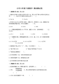 小学六年级下册数学 期末测试卷【名师系列】