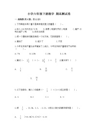 小学六年级下册数学 期末测试卷带精品答案