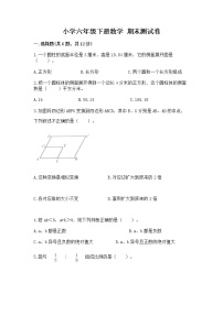 小学六年级下册数学 期末测试卷标准卷