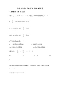 小学六年级下册数学 期末测试卷带答案（轻巧夺冠）